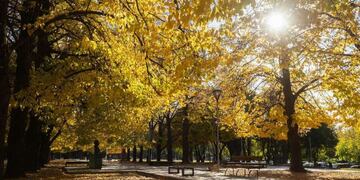 Legó el invierno pero el frío se va: cómo estará la temperatura en Mendoza