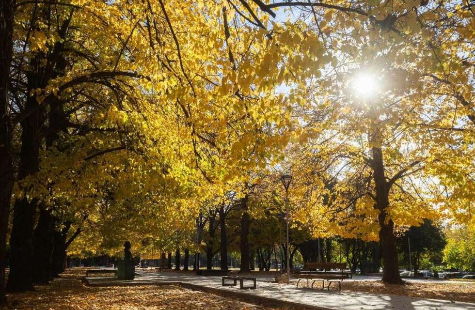 Llegó el invierno pero el frío se va: cómo estará la temperatura en Mendoza