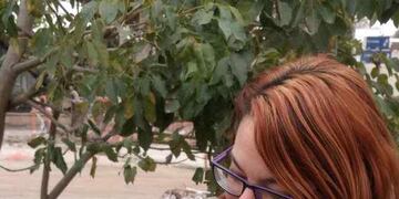 Se informa que en el día de la fecha no se emitirá el parte epidemiológico por dificultades técnicas en el sistema de carga de datos. En el día de mañana se actualizará con los casos del lunes 6 de septiembre y el martes 7.