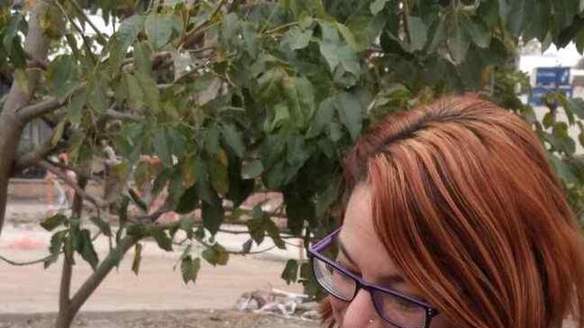 Se informa que en el día de la fecha no se emitirá el parte epidemiológico por dificultades técnicas en el sistema de carga de datos. En el día de mañana se actualizará con los casos del lunes 6 de septiembre y el martes 7.