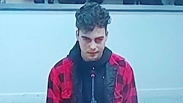 Juan Cruz Camerano Echevarría, testigo del caso Blas. (Captura de TV)