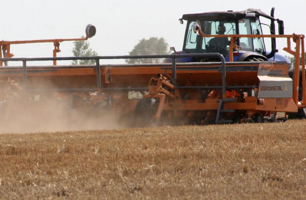 Los factores que limitan el crecimiento de las plantas