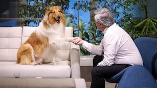 Dylan, el perro presidencial