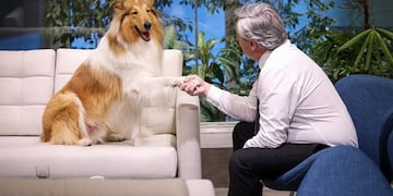Dylan, el perro presidencial