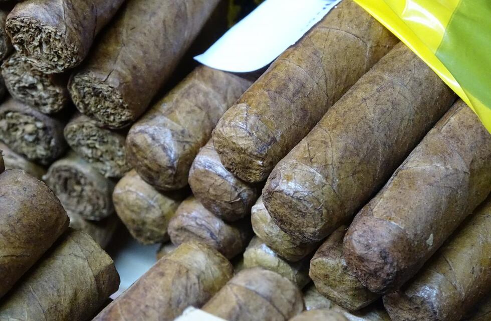 Mujeres de El Espinal fabrican habanos artesanales