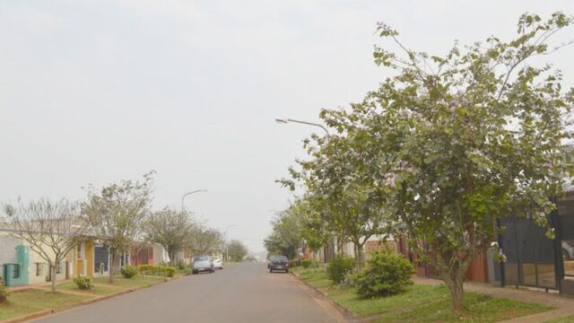 Itaembé Guazú llegó a 8.500 plantaciones gracias al IProDHa.