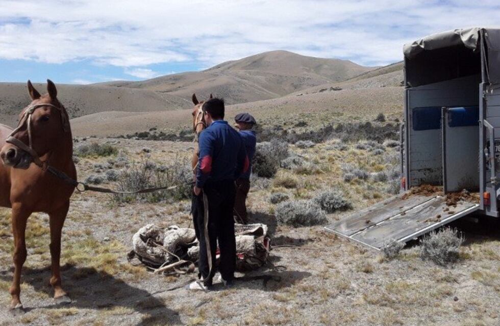 Detienen a un hombre que robó y mató caballos en la Estancia “Maria Elisa”