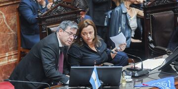 Juntos por el Cambio no acompañará la reelección de Cecilia Moreau como presidenta de la Cámara de Diputados (Foto: Federico López Claro)