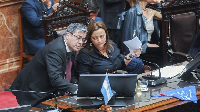 Juntos por el Cambio no acompañará la reelección de Cecilia Moreau como presidenta de la Cámara de Diputados (Foto: Federico López Claro)