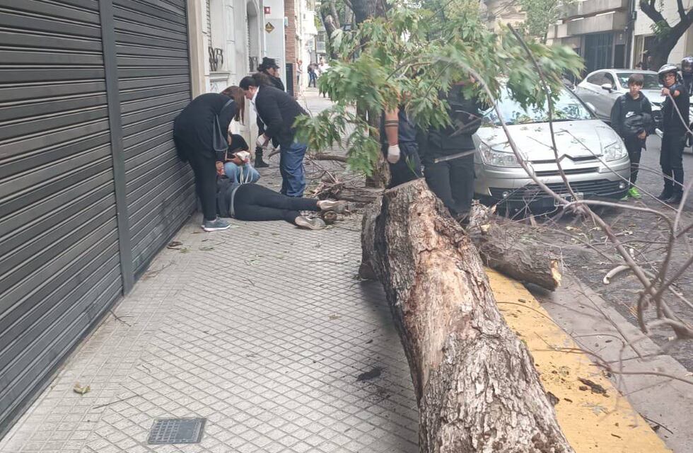 Video escalofriante en Rosario: se le cayó un árbol encima y sobrevivió