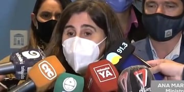 La presencia de la ministra de Salud Ana María Nadal no satisfizo las expectativas cuando se presentó ante la Bicameral de Control y Seguimiento de Covid-19. Gentileza