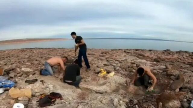 Por la bajante de un lago en Neuquén, encontraron restos de un dinosaurio gigante