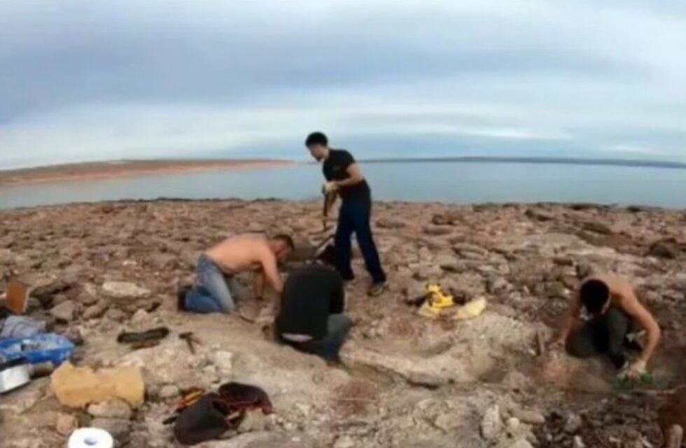 Por la bajante de un lago en Neuquén, encontraron restos de un dinosaurio gigante