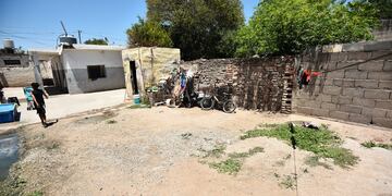 La mujer encontró el animal en su casa. Foto ilustrativa. (Pedro Castillo/La Voz)