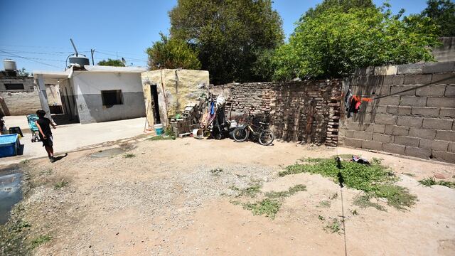 La mujer encontró el animal en su casa. Foto ilustrativa. (Pedro Castillo/La Voz)