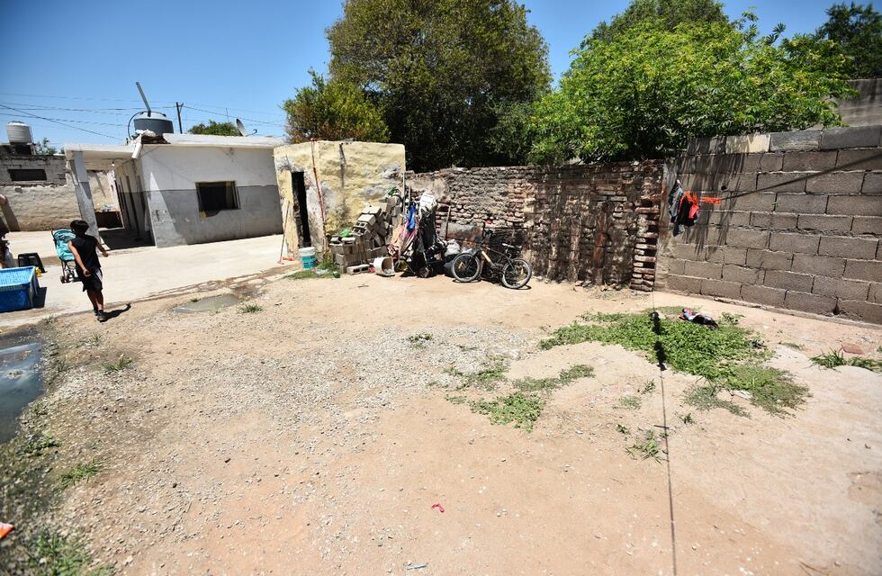 Exótica visita en Córdoba: una vecina de barrio Alto Alberdi abrió el garaje y se topó con un tremendo reptil