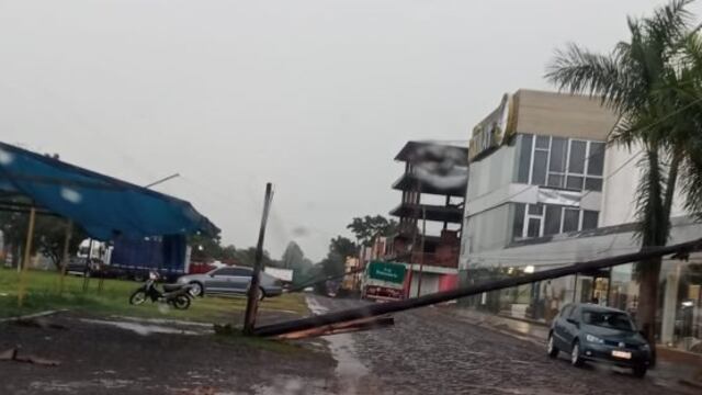 Fuerte tormenta causó caídas de árboles y postes de luz en Oberá.