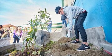 Ushuaia: finalizó la etapa inicial de “Mi Primer Arbolito” en el colegio “Eva Duarte”