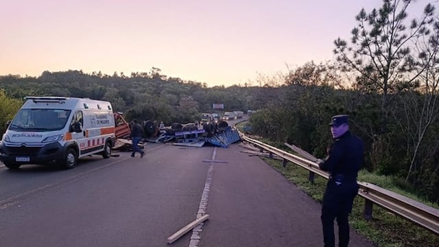 Cerro Azul: un camión maderero despistó en la Ruta 14 y bloqueó totalmente la circulación.