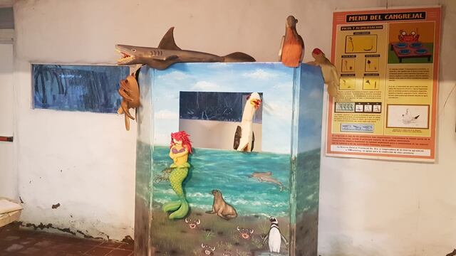 Villa del Mar: gran concurrencia en las actividades lúdico educativas gratuitas