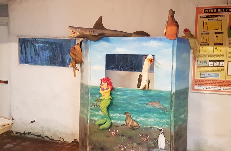 Villa del Mar: gran concurrencia en las actividades lúdico educativas gratuitas