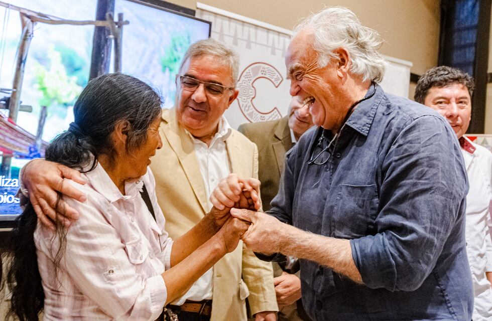 Confirmado: la fibra de vicuña catamarqueña se comercializará internacionalmente