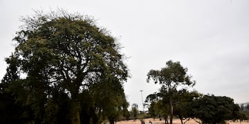 Temperaturas primaverales para este jueves 25 de julio.