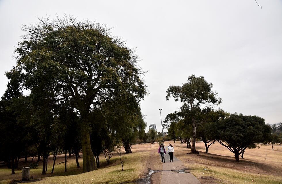 Clima en Córdoba: templado y ventoso para este domingo 28 de agosto