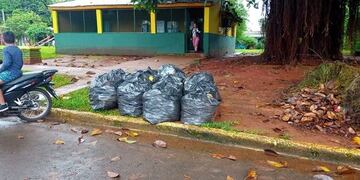 Cambios en la recolección de residuos en Puerto Iguazú.