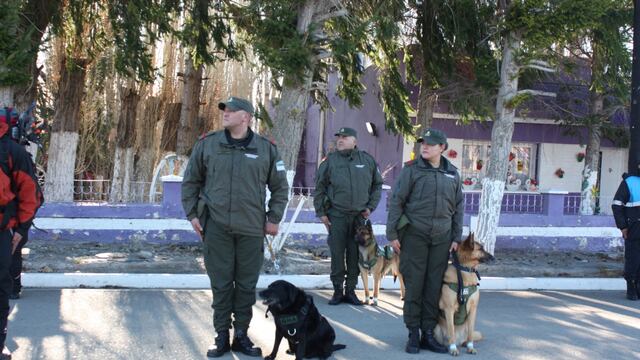 Quién es Pecky: anécdotas y la historia de la perra gendarme que emocionó a todos luego de su retiro. Foto: Gentileza Gendarmería Nacional