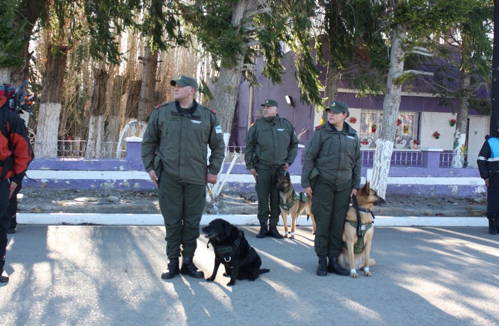 Qué pasará con Pecky, la labradora de Chubut que se jubiló de Gendarmería Nacional