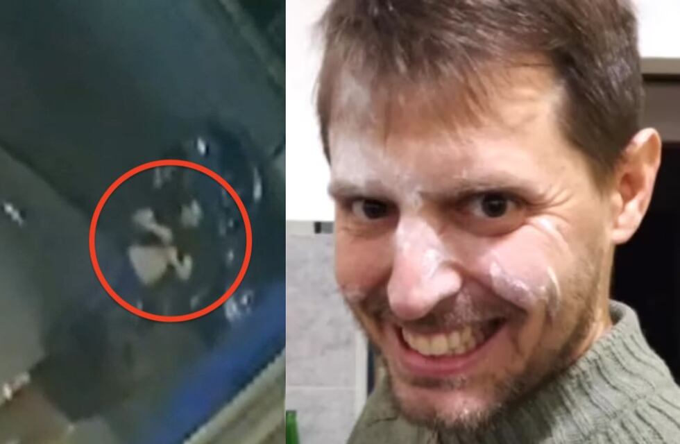 “Me mandé una macana, uno se me trabó y luchó”: las palabras de uno de los sospechosos del crimen del ingeniero en Palermo