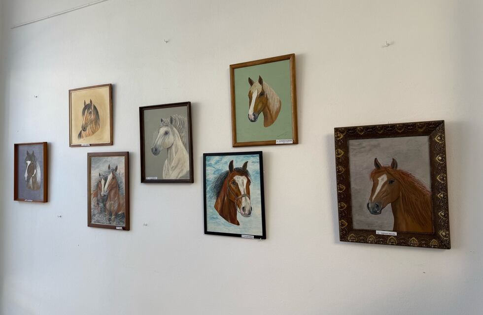 “Mi amigo el caballo”: la muestra de Oscar Octavio Rüppell llega al Centro Cultural de Gonzales Chaves