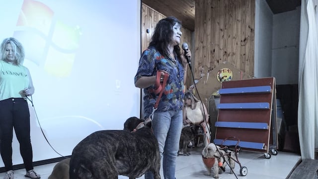 La mendocina rescatista de perros