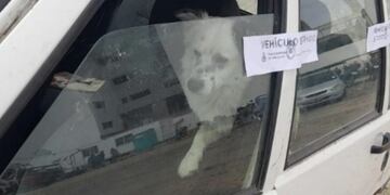 El perro quedó encerrado en el auto luego de que su dueño estacionara sobre las vías del tren.