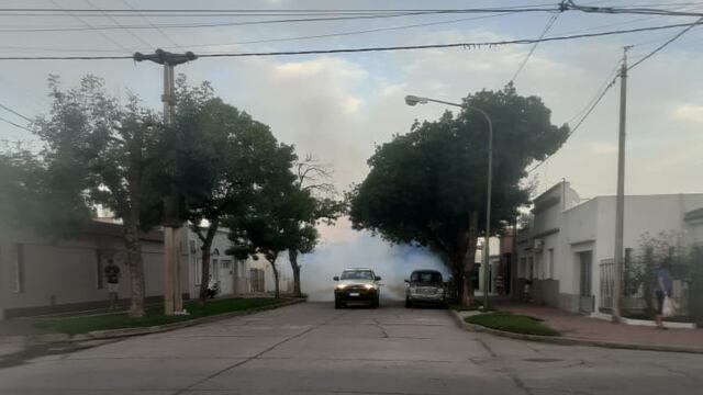 Siguen las fumigaciones para prevenir casos de dengue