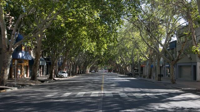 El jueves llegará a la ciudad de Mendoza el vehículo que realiza el censo del arbolado público en el Área Metropolitana. Gentileza MCM