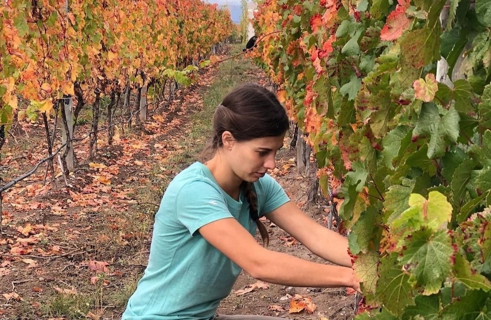 Mayra Tous realizará su propio vino en familia por cuarto año consecutivo