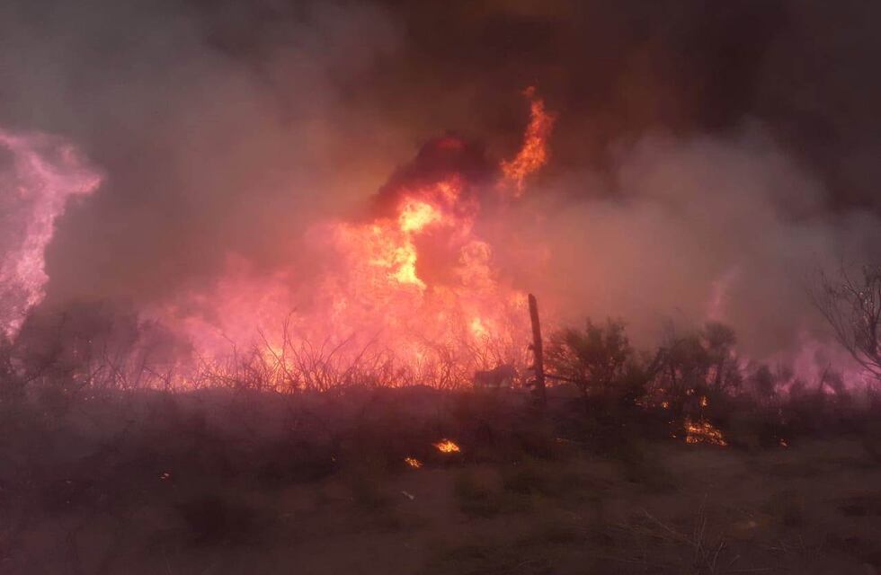 Un incendio arrasó con más de 1.000 hectáreas en San Rafael y provocó la muerte de animales