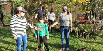 Nueva jornada de plantación arbórea en el barrio Jossi de Eldorado.