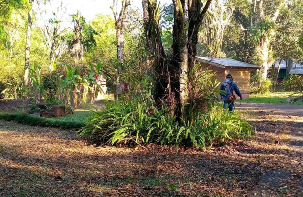 El municipio de Montecarlo colabora en la limpieza del Parque Juan Vortisch