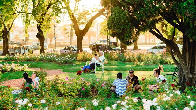 El rosedal es uno de los sitios preferidos para los rosarinos en el centro de la ciudad.