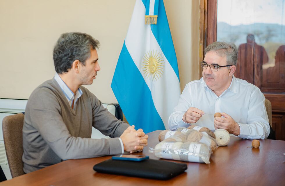 La producción de fibra de vicuña