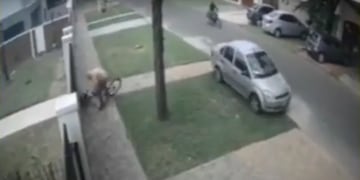 Tiraron a un chico al piso para robarle la bicicleta