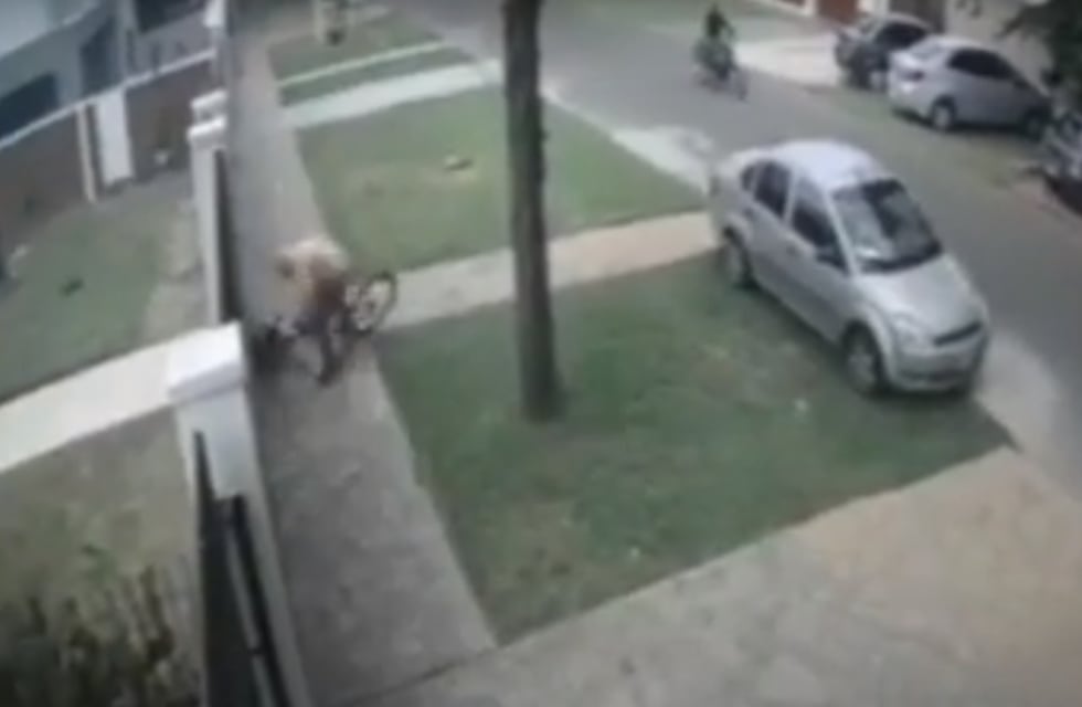 Motochorros tiraron a un nene al piso para robarle la bicicleta