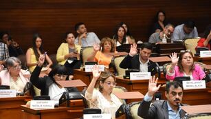 La Cámara de Diputados de Jujuy sancionó este miércoles la ley 6.432 de Capacitación Obligatoria en Materia de Perspectiva de Discapacidad, para la administración pública provincial.