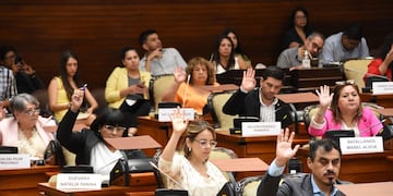 La Cámara de Diputados de Jujuy sancionó este miércoles la ley 6.432 de Capacitación Obligatoria en Materia de Perspectiva de Discapacidad, para la administración pública provincial.