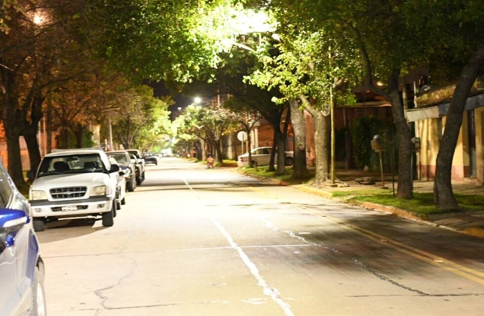 Luis Castellano recorrió la obra de iluminación de barrio Italia