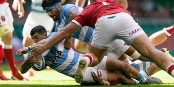 Gran triunfo de Los Pumas frente a Gales.