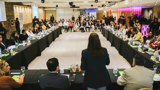 Tierra del Fuego participó de la 90° Asamblea del Consejo Federal de Discapacidad